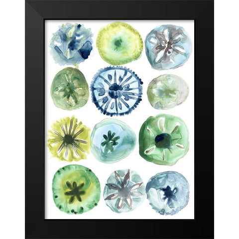 Sea Urchin Assortment II Black Modern Wood Framed Art Print by Vess, June Erica