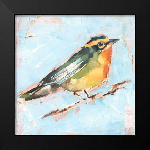 Bird Variety IV Black Modern Wood Framed Art Print by Harper, Ethan