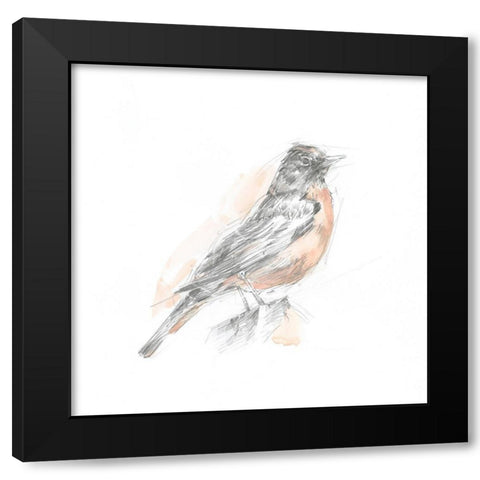 Robin Bird Sketch I Black Modern Wood Framed Art Print with Double Matting by Harper, Ethan