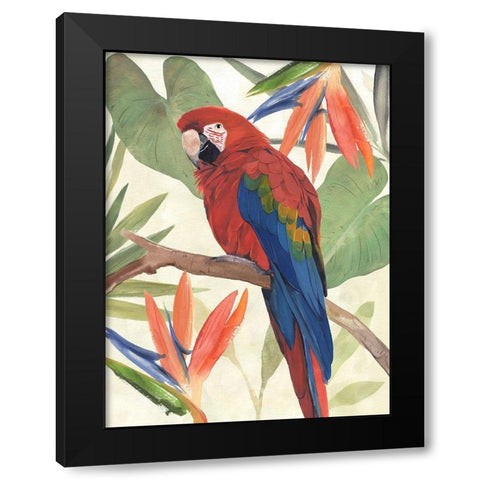 Tropical Parrot Composition II Black Modern Wood Framed Art Print by Warren, Annie