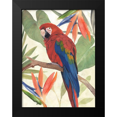 Tropical Parrot Composition II Black Modern Wood Framed Art Print by Warren, Annie