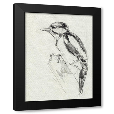 Woodpecker Sketch I Black Modern Wood Framed Art Print by Parker, Jennifer Paxton
