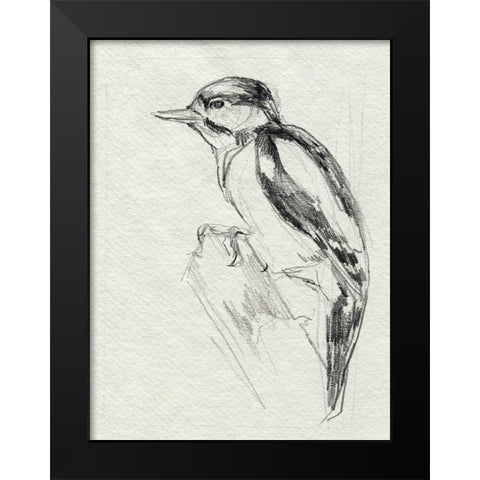 Woodpecker Sketch I Black Modern Wood Framed Art Print by Parker, Jennifer Paxton