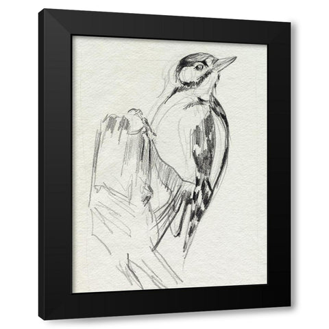 Woodpecker Sketch II Black Modern Wood Framed Art Print by Parker, Jennifer Paxton