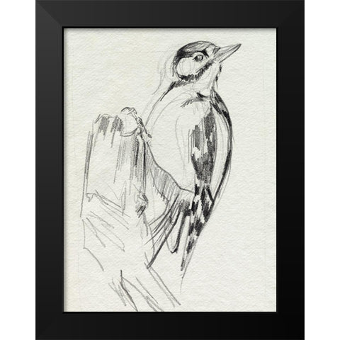 Woodpecker Sketch II Black Modern Wood Framed Art Print by Parker, Jennifer Paxton