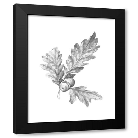 Oak Leaf Pencil Sketch I Black Modern Wood Framed Art Print by Caroline, Emma