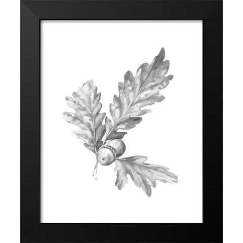 Oak Leaf Pencil Sketch I Black Modern Wood Framed Art Print by Caroline, Emma