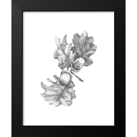 Oak Leaf Pencil Sketch II Black Modern Wood Framed Art Print by Caroline, Emma