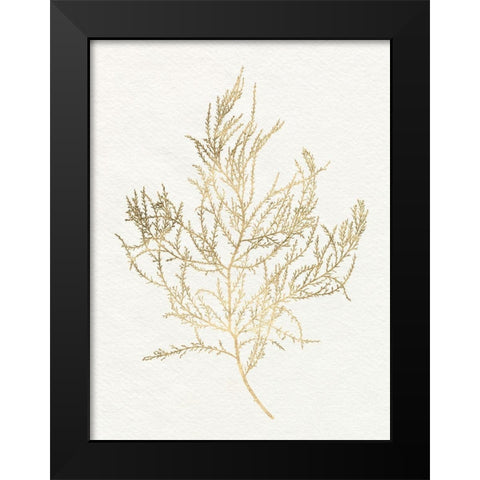 Gilded Algae III Black Modern Wood Framed Art Print by Goldberger, Jennifer