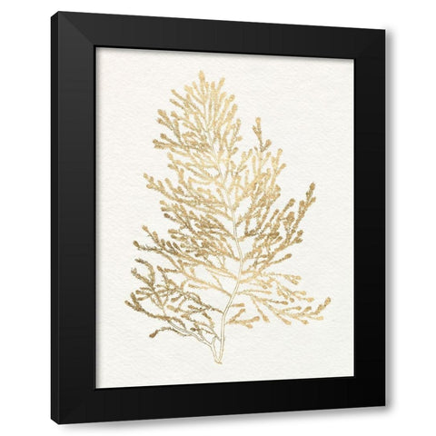 Gilded Algae IV Black Modern Wood Framed Art Print by Goldberger, Jennifer