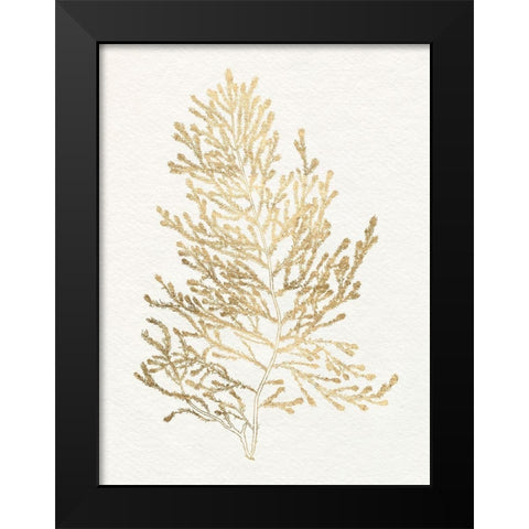 Gilded Algae IV Black Modern Wood Framed Art Print by Goldberger, Jennifer