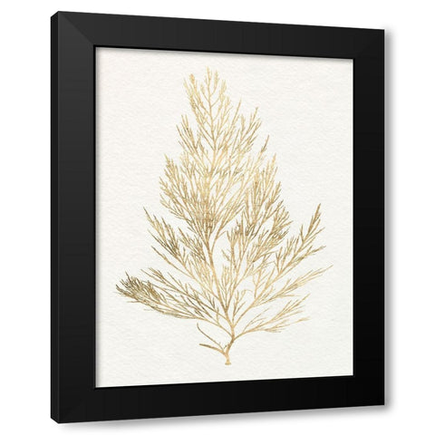 Gilded Algae V Black Modern Wood Framed Art Print with Double Matting by Goldberger, Jennifer