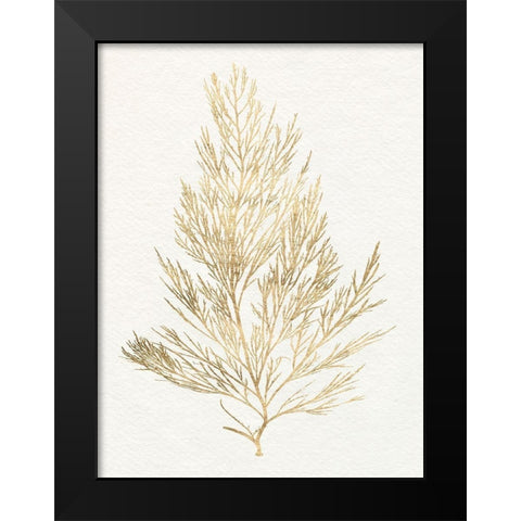 Gilded Algae V Black Modern Wood Framed Art Print by Goldberger, Jennifer