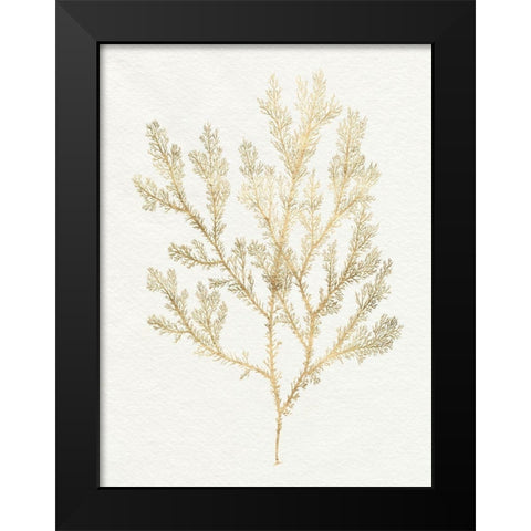 Gilded Algae VI Black Modern Wood Framed Art Print by Goldberger, Jennifer