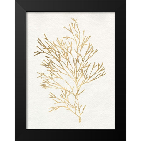 Gilded Algae VII Black Modern Wood Framed Art Print by Goldberger, Jennifer