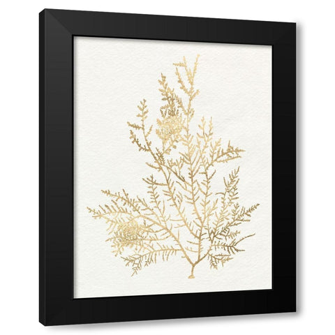 Gilded Algae VIII Black Modern Wood Framed Art Print with Double Matting by Goldberger, Jennifer