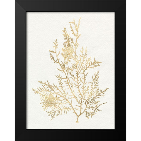 Gilded Algae VIII Black Modern Wood Framed Art Print by Goldberger, Jennifer