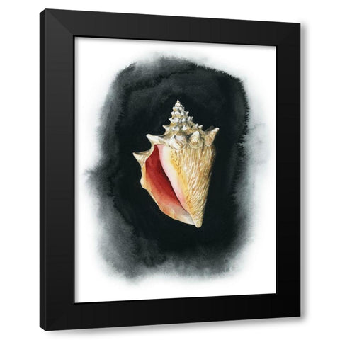 Conch on Black I Black Modern Wood Framed Art Print with Double Matting by Popp, Grace