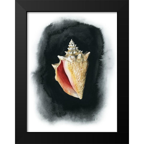 Conch on Black I Black Modern Wood Framed Art Print by Popp, Grace