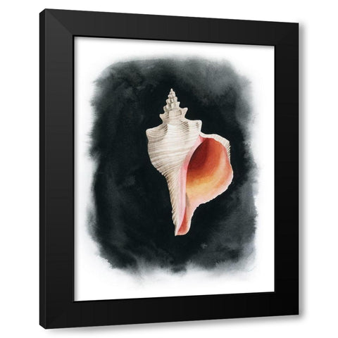 Conch on Black II Black Modern Wood Framed Art Print by Popp, Grace