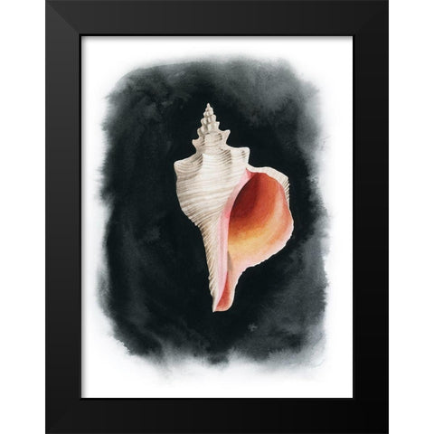 Conch on Black II Black Modern Wood Framed Art Print by Popp, Grace