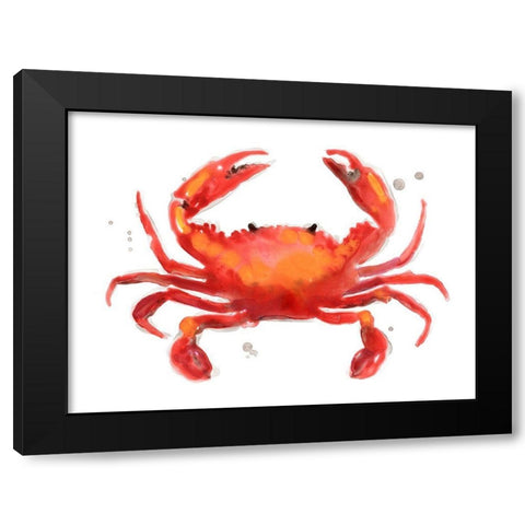 Crab Cameo I Black Modern Wood Framed Art Print with Double Matting by Vess, June Erica