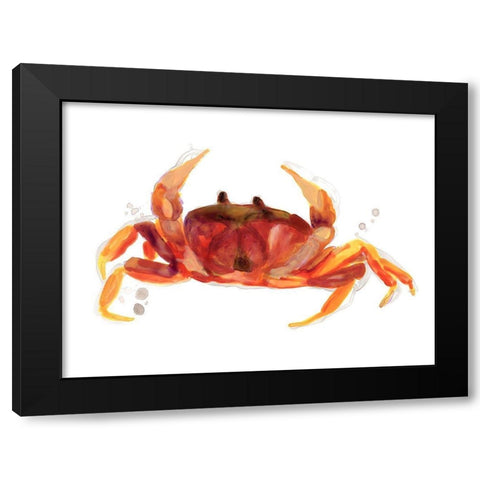 Crab Cameo III Black Modern Wood Framed Art Print with Double Matting by Vess, June Erica