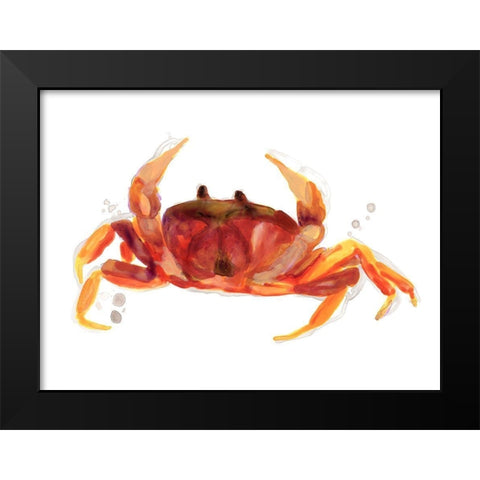 Crab Cameo III Black Modern Wood Framed Art Print by Vess, June Erica