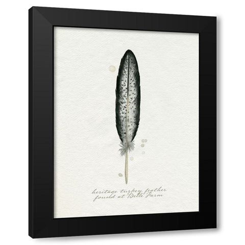 Found Feather II Black Modern Wood Framed Art Print with Double Matting by Popp, Grace