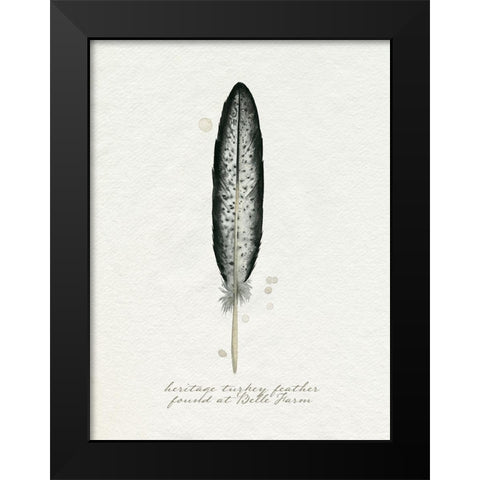 Found Feather II Black Modern Wood Framed Art Print by Popp, Grace