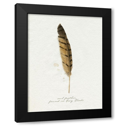 Found Feather III Black Modern Wood Framed Art Print with Double Matting by Popp, Grace