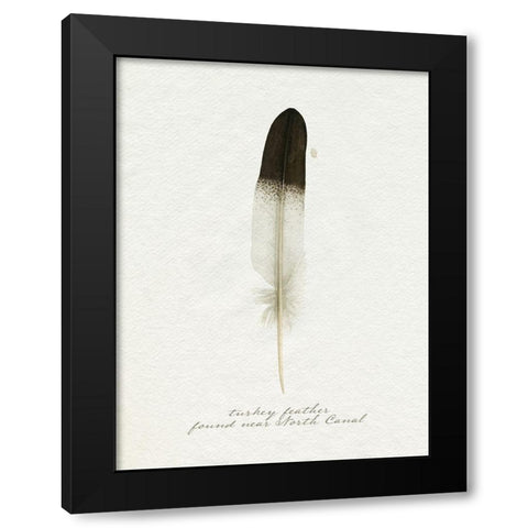 Found Feather IV Black Modern Wood Framed Art Print by Popp, Grace