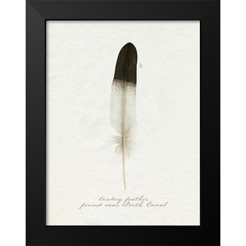 Found Feather IV Black Modern Wood Framed Art Print by Popp, Grace