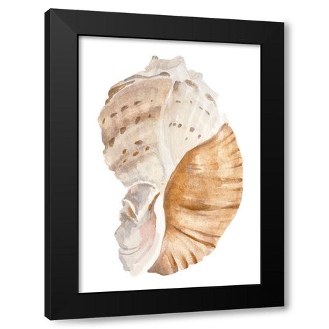 Seashell I Black Modern Wood Framed Art Print with Double Matting by Warren, Annie
