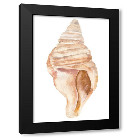 Seashell II Black Modern Wood Framed Art Print by Warren, Annie