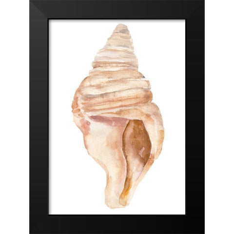 Seashell II Black Modern Wood Framed Art Print by Warren, Annie