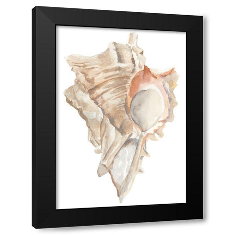 Seashell IV Black Modern Wood Framed Art Print with Double Matting by Warren, Annie
