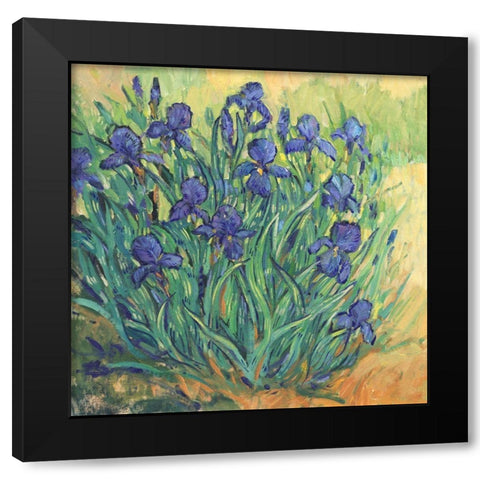 Irises in Bloom II Black Modern Wood Framed Art Print with Double Matting by OToole, Tim