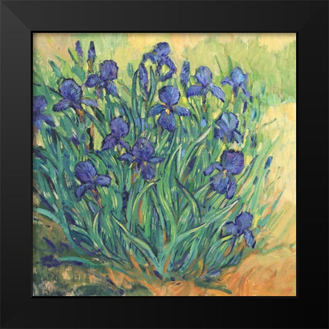 Irises in Bloom II Black Modern Wood Framed Art Print by OToole, Tim