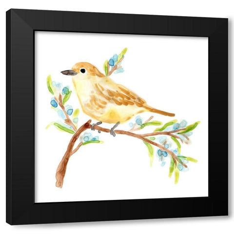 Springtime Songbirds II Black Modern Wood Framed Art Print with Double Matting by Vess, June Erica