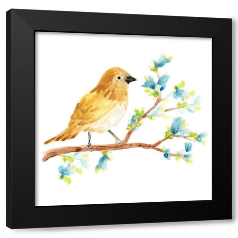 Springtime Songbirds III Black Modern Wood Framed Art Print with Double Matting by Vess, June Erica