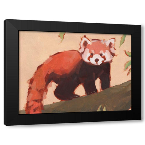 Red Panda I Black Modern Wood Framed Art Print by Green, Jacob