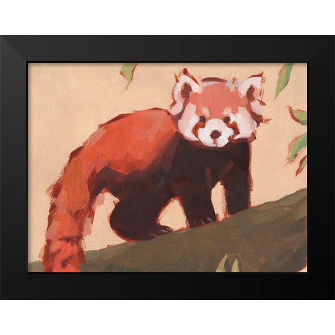 Red Panda I Black Modern Wood Framed Art Print by Green, Jacob