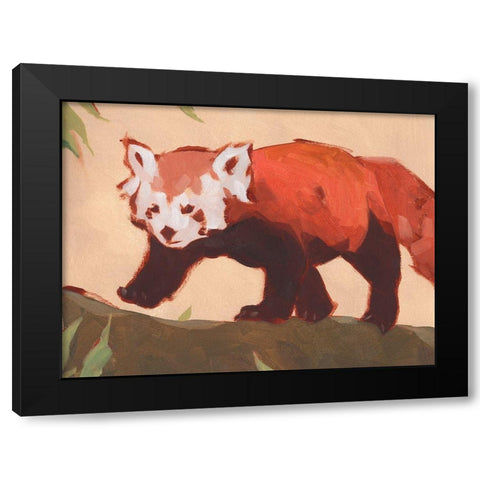 Red Panda II Black Modern Wood Framed Art Print with Double Matting by Green, Jacob