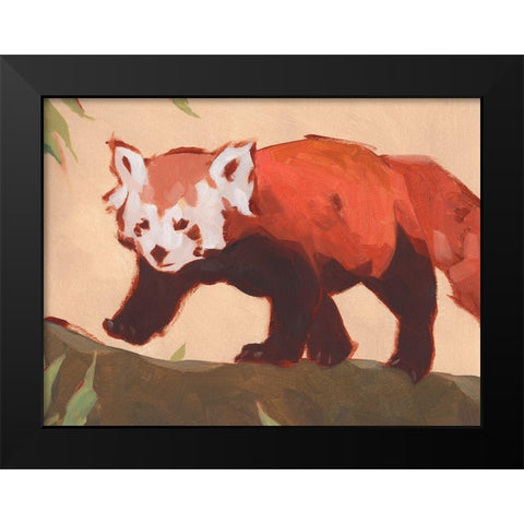 Red Panda II Black Modern Wood Framed Art Print by Green, Jacob