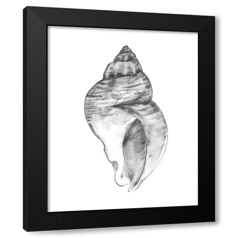 Quiet Conch I Black Modern Wood Framed Art Print by Caroline, Emma