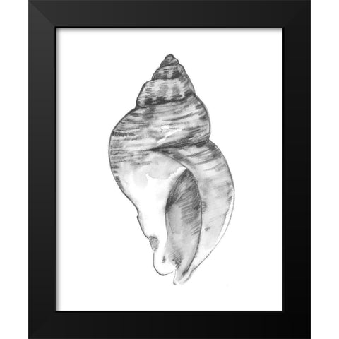 Quiet Conch I Black Modern Wood Framed Art Print by Caroline, Emma