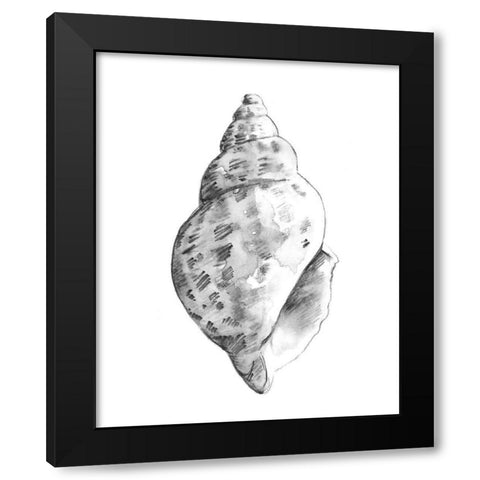 Quiet Conch II Black Modern Wood Framed Art Print with Double Matting by Caroline, Emma
