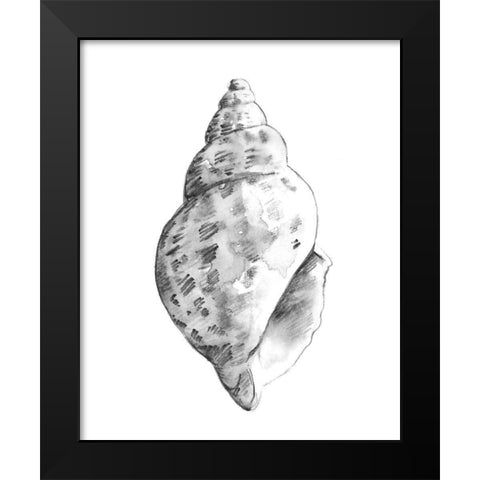 Quiet Conch II Black Modern Wood Framed Art Print by Caroline, Emma