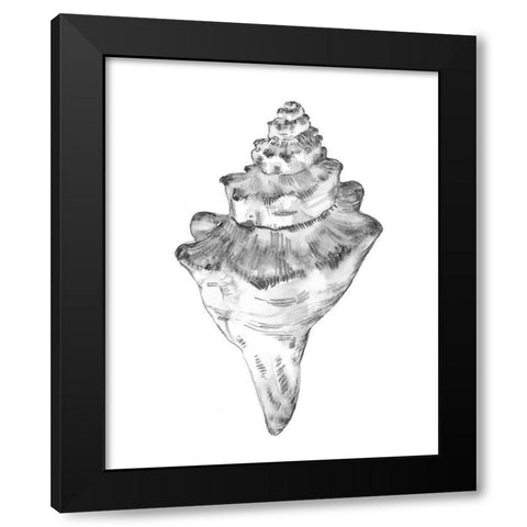Quiet Conch III Black Modern Wood Framed Art Print by Caroline, Emma